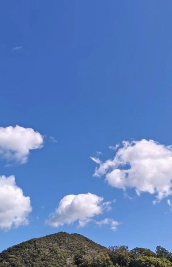 李こんにちは李