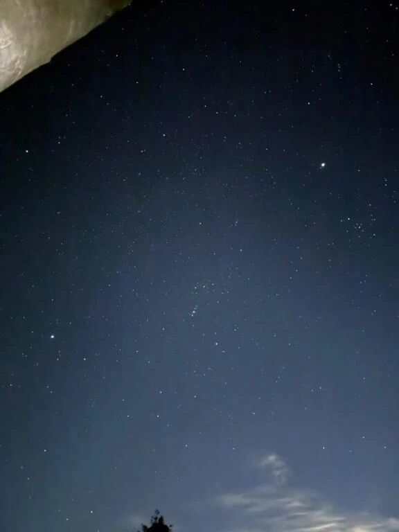 星が綺麗な季節✨