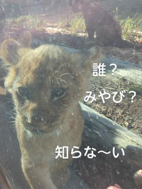 のんほいパーク、２