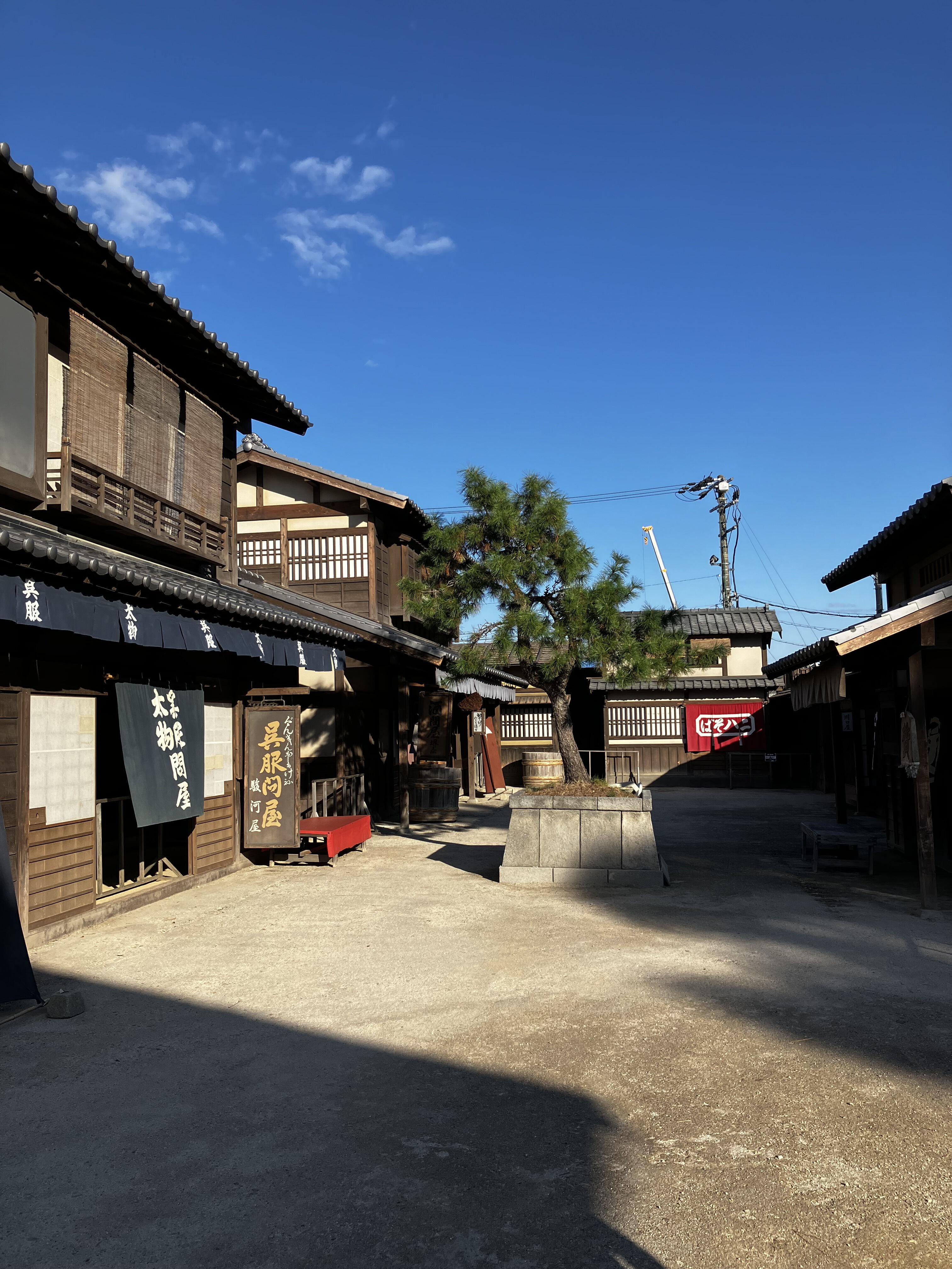 すずめの休日☆