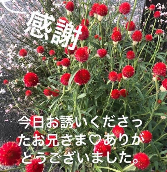 今日の感謝です&#9825;