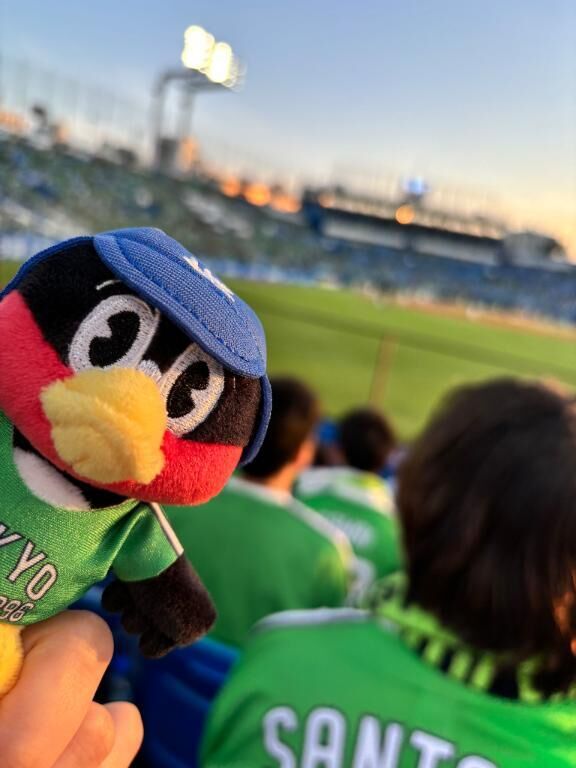 贔屓は違うけど、熱血応援！