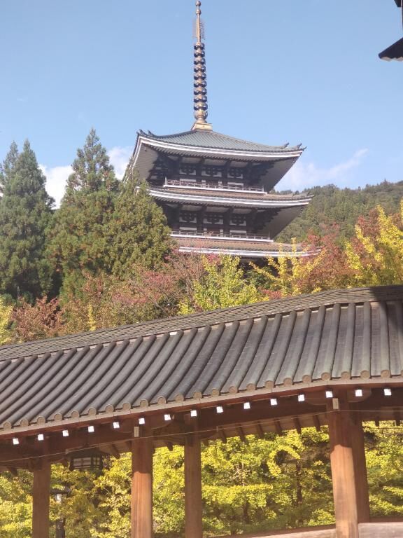 リフレッシュ♪