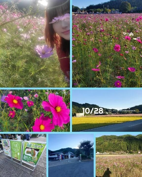 岡部町へ行くの巻き