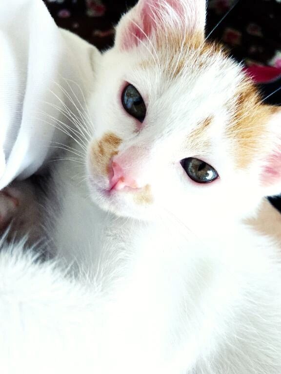 お礼日記&#128214;&#128149;