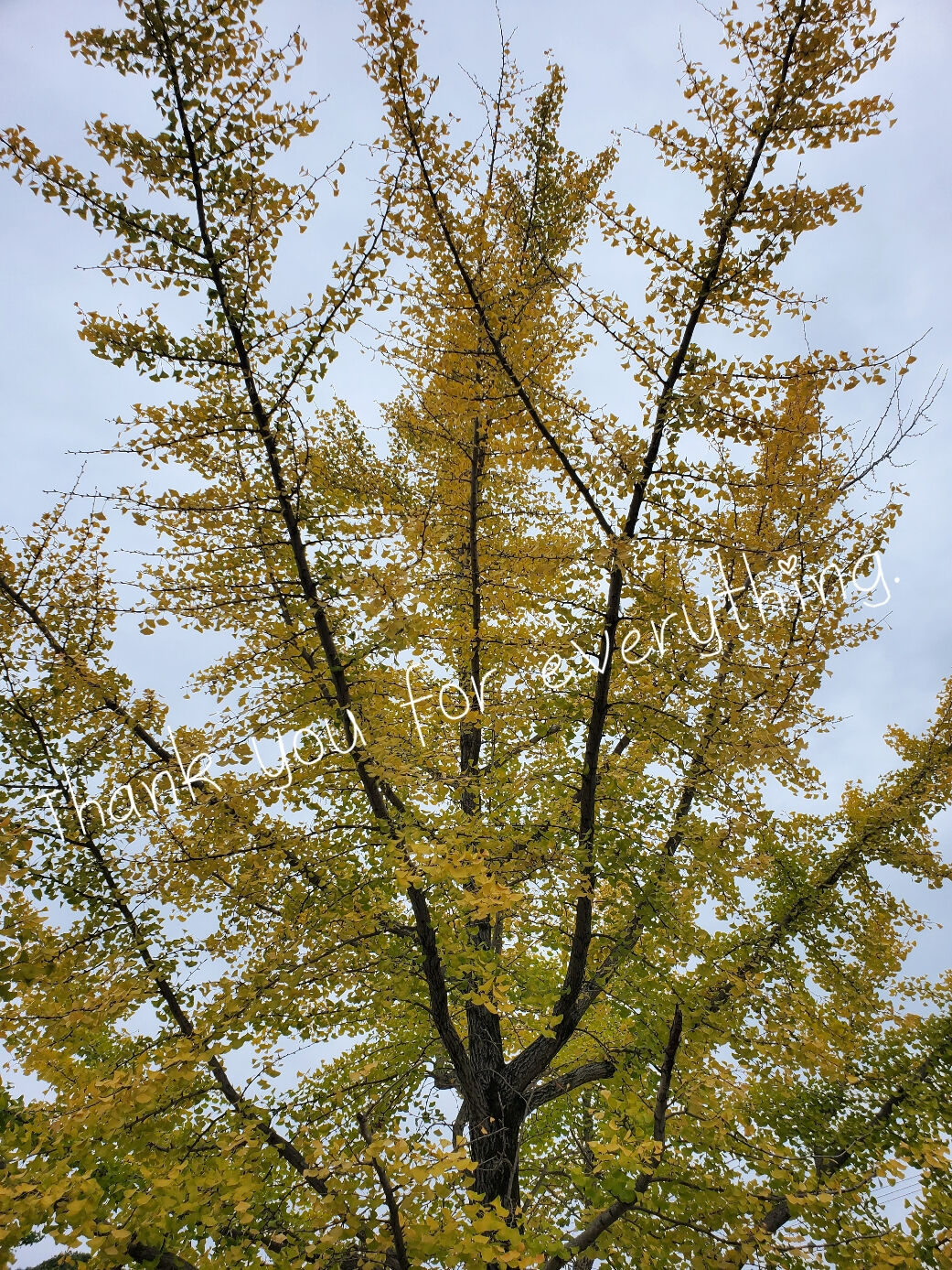 おはようございます&#9825;