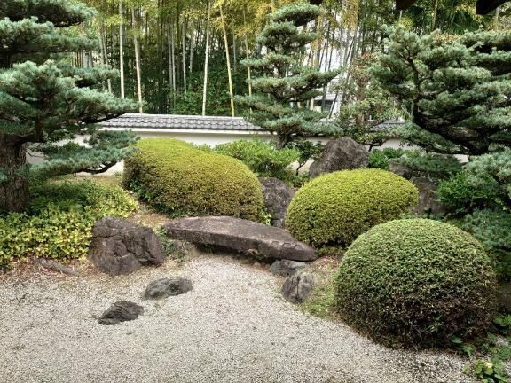 [お題]from:カレーヌードルさん