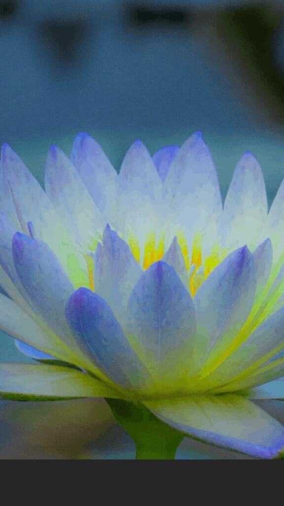 ☆こんにちは☆