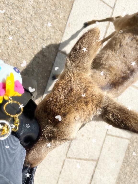 後日談&#129420;&#129420;&#9693;&#10025;