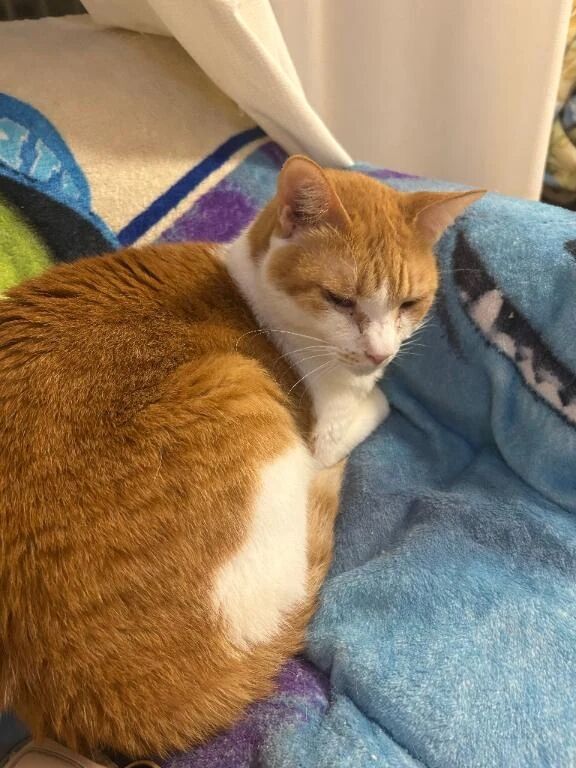 16時からご案内