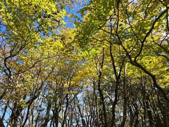 デンジャラスマウンテンへ再び