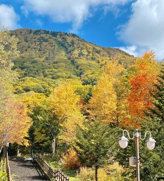 おつかれ様です♡