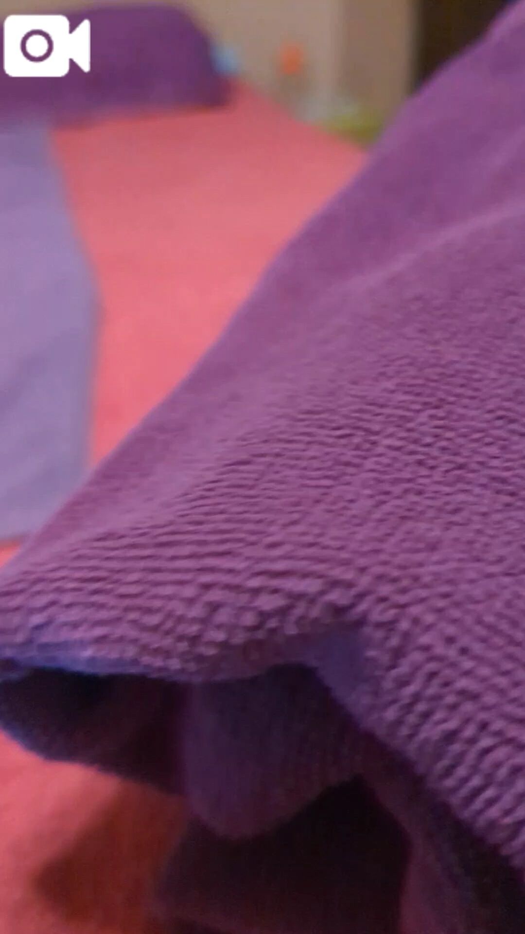 みみがいっぱい