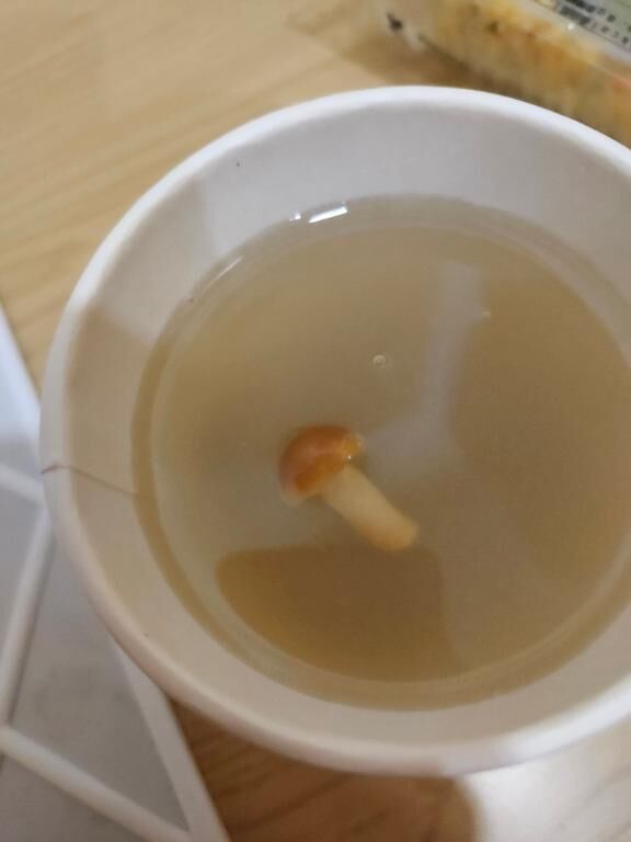 なめこだよね？・・・&#9825;