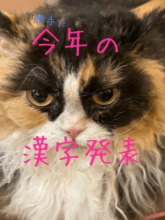 今年の漢字を発表します