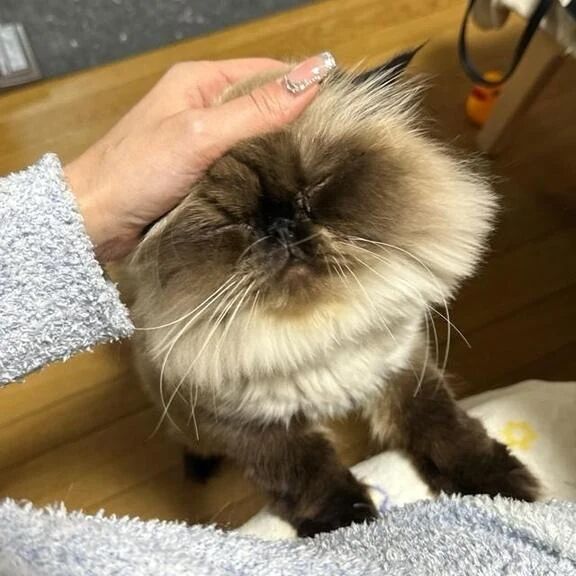 お部屋に行くよ〜