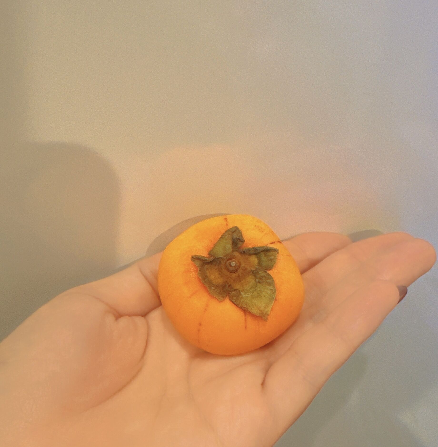 おはようございます