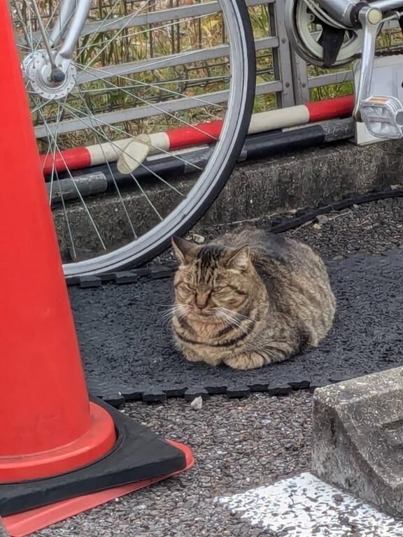 出勤&#x301C;！！