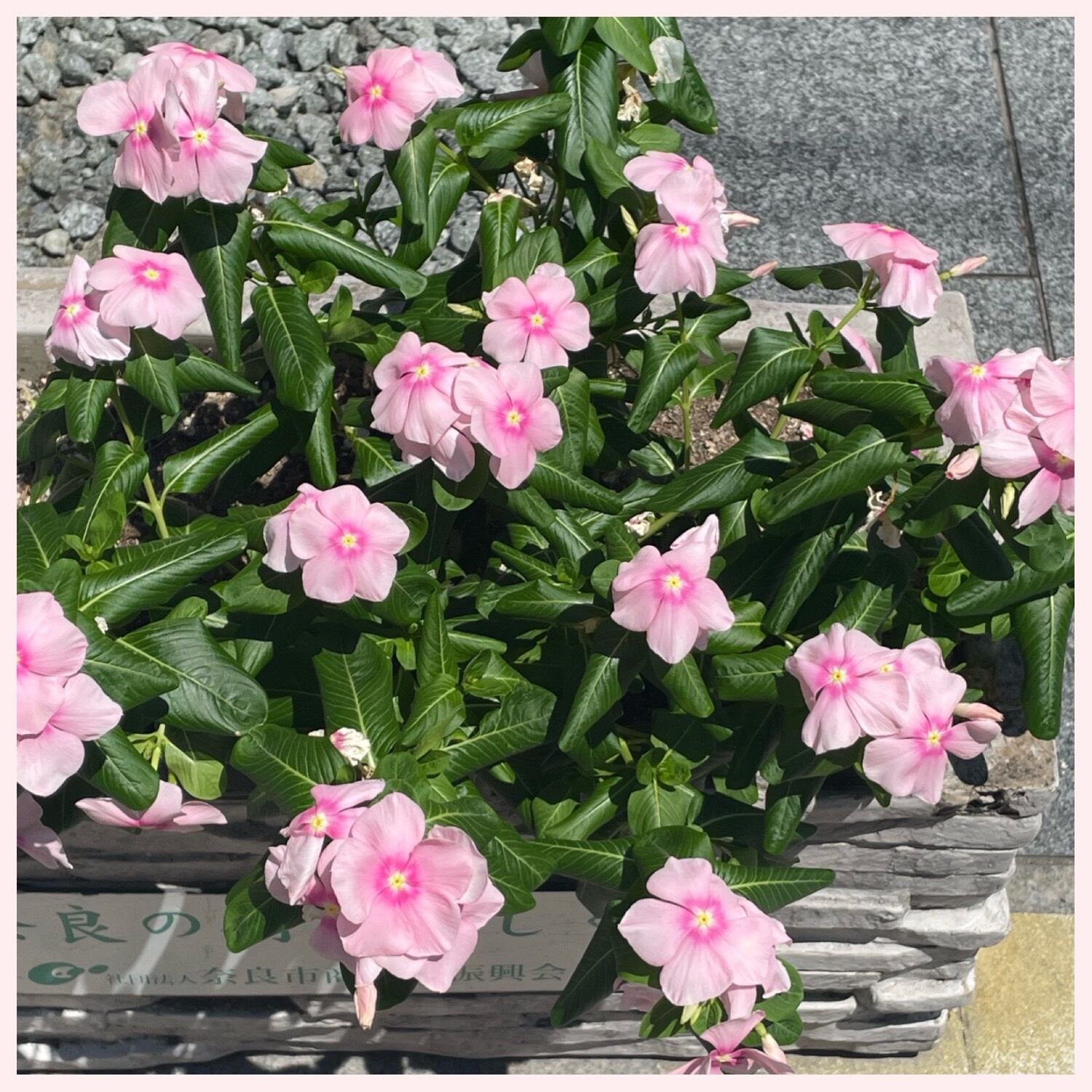 出勤してます(^^)