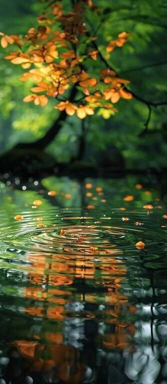 朝一番のお兄様へのお礼です&#128150;