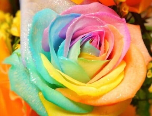 [お題]from:シャボンさん