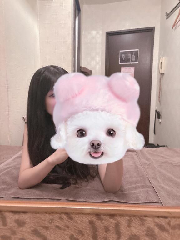 お久しぶりです