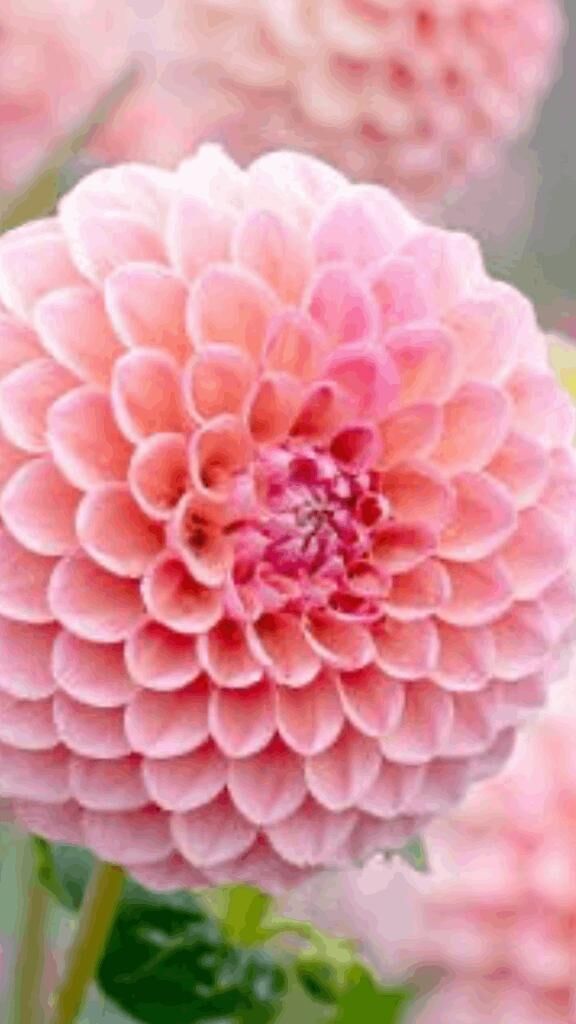 ☆こんにちは☆