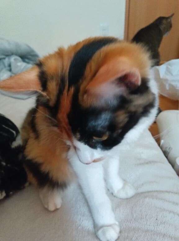 2度寝からの生還