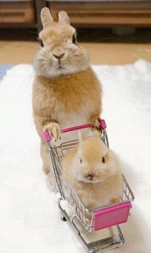 エナジードリンク遼