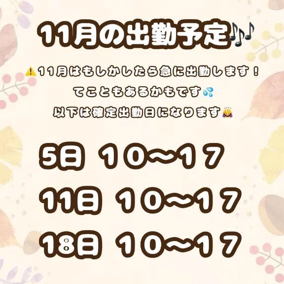 11月の予定です️