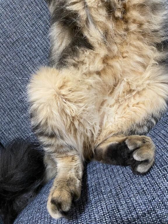 無防備なおなか