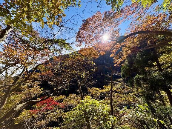 【強制デジタルデトックス】