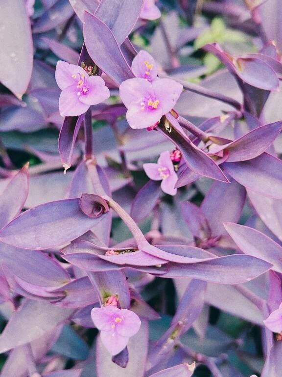 お久しぶりです