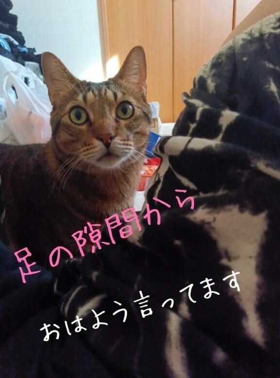 出勤しましたぁ