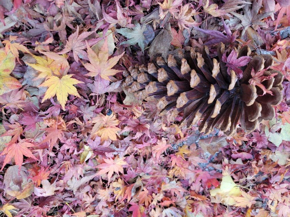 30日(木)　15時20分　♡様