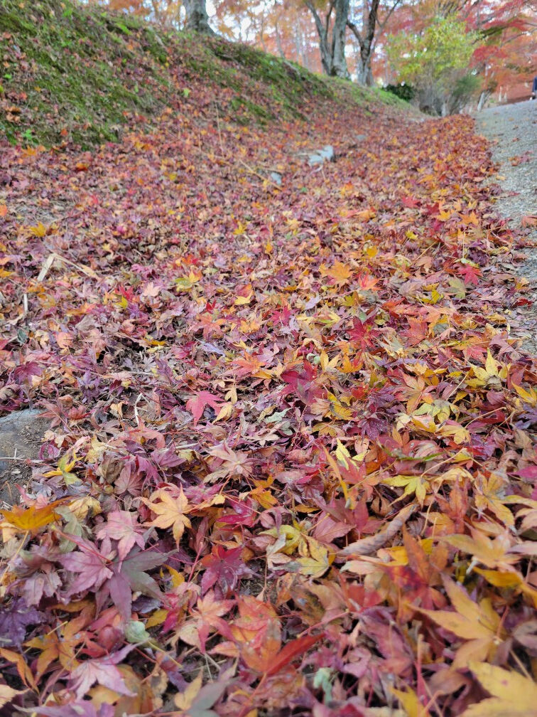 30日(木)　17時45分　♡様