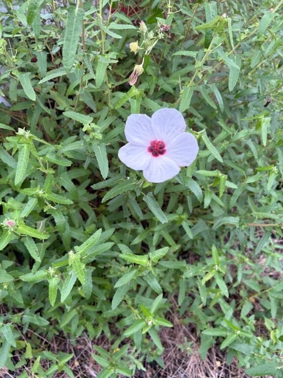 また次回&#128583;&zwj;♀&#65039;