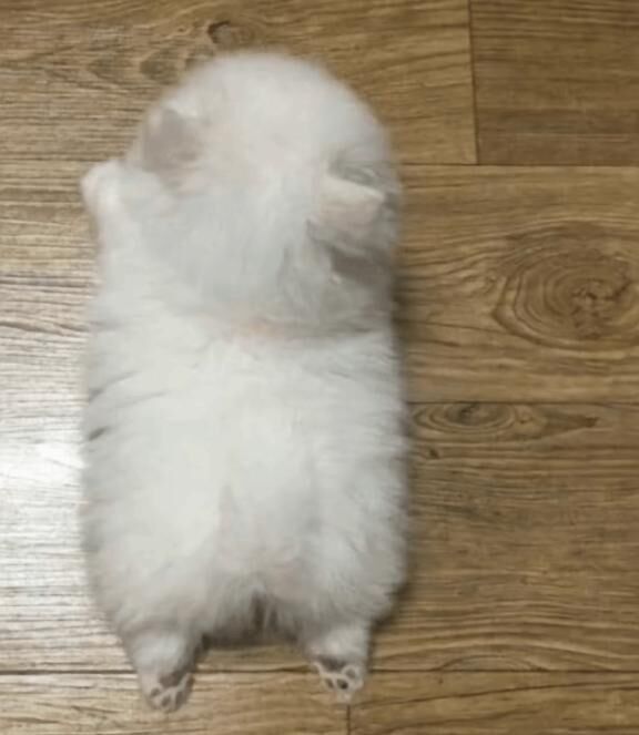 本日無事に終了です&#9825;