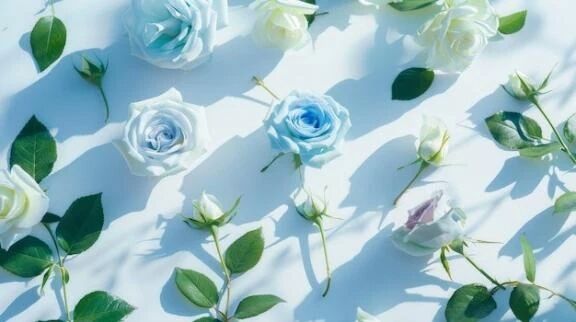 おふとん&#128155;