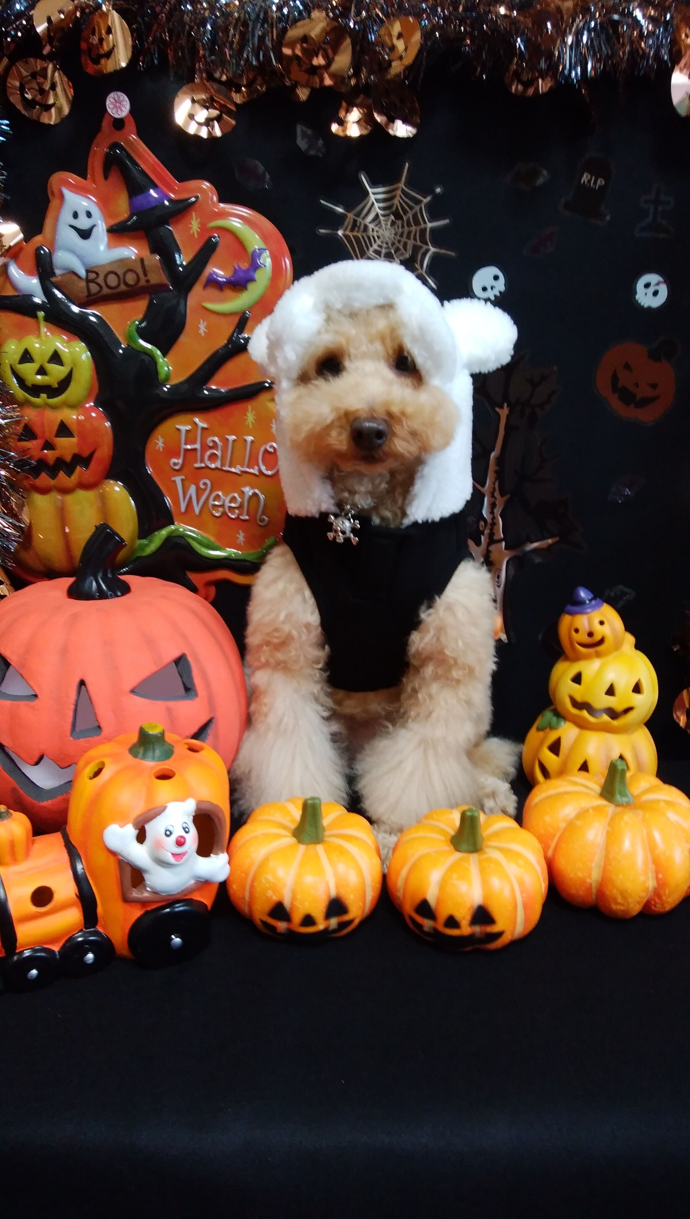 おはようございます