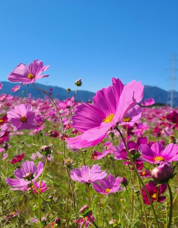 おはようございます