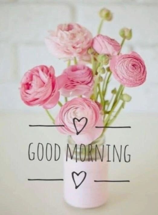 おはようございます