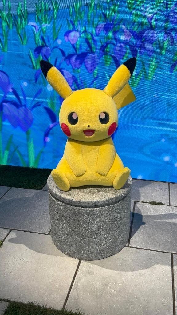 &#127872;あいにくの&#127872;