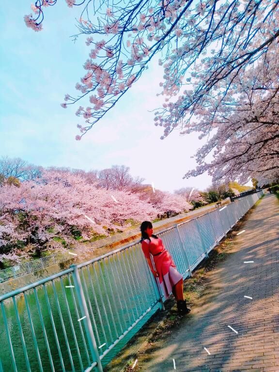 来てねしました♡♡押しました♡