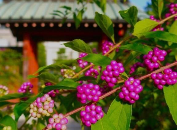 [お題]from:カレーヌードルさん