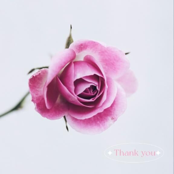 ラフォーレの♡