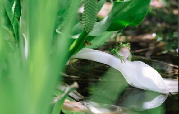 アイドルタイム休憩反対