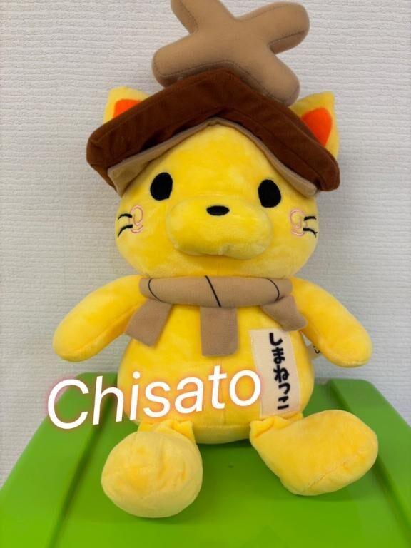 ９月のお礼♡肌色ストッキング