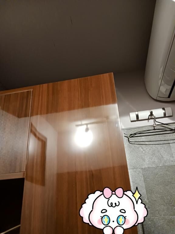 掃除にハマってます