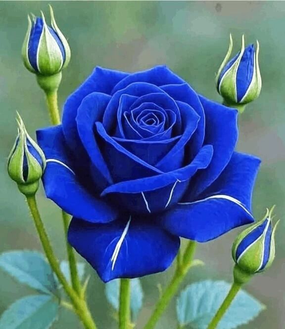 お疲れ様でした‼️